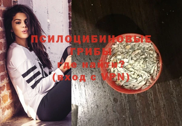 шишки Карталы