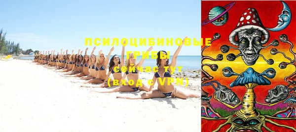шишки Карталы