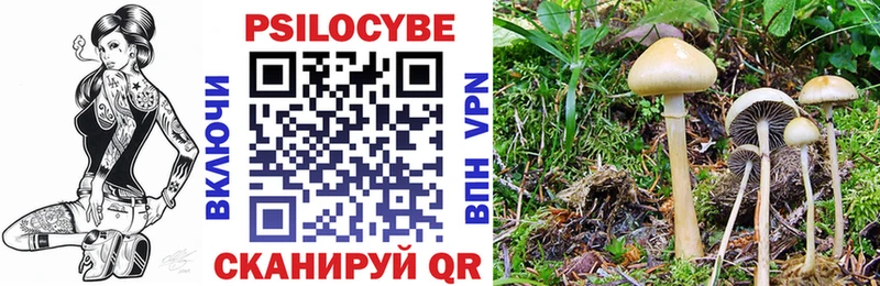 Купить где  Киров  Галлюциногенные грибы Magic Shrooms 